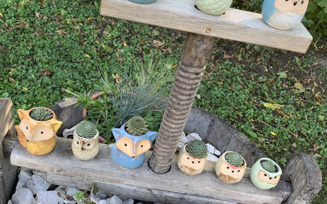 Játszótéri projektek